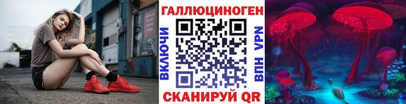 как найти наркотики  Александров  Псилоцибиновые грибы ЛСД 